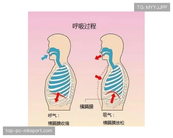 顶级潜水员的呼吸:他是如何通过肺部容量调节控制下潜深度的 顶级潜水员的呼吸:他是如何通过肺部容量调节控制下潜深度的